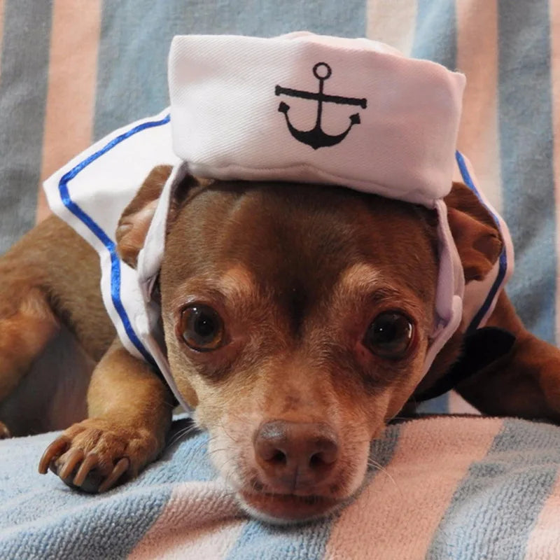 Sailor Costume for Cats
