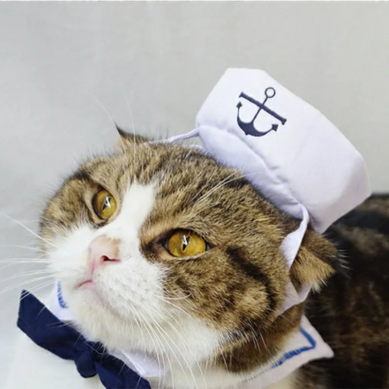 Sailor Costume for Cats