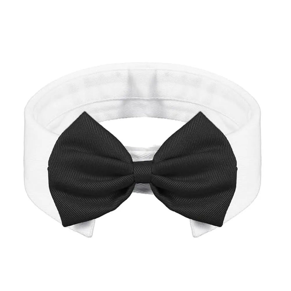 Bow Tie Pet Collar