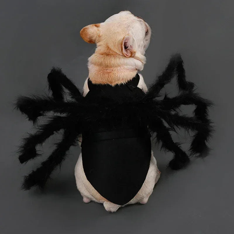 Spider Costume for Cats and Small Dogs