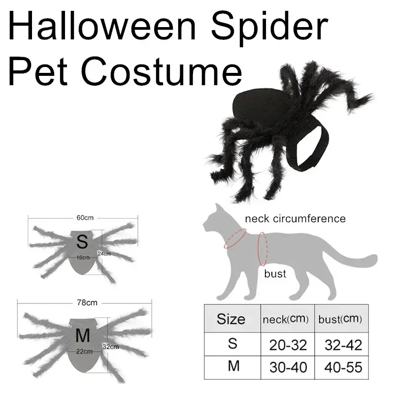 Spider Costume for Cats and Small Dogs