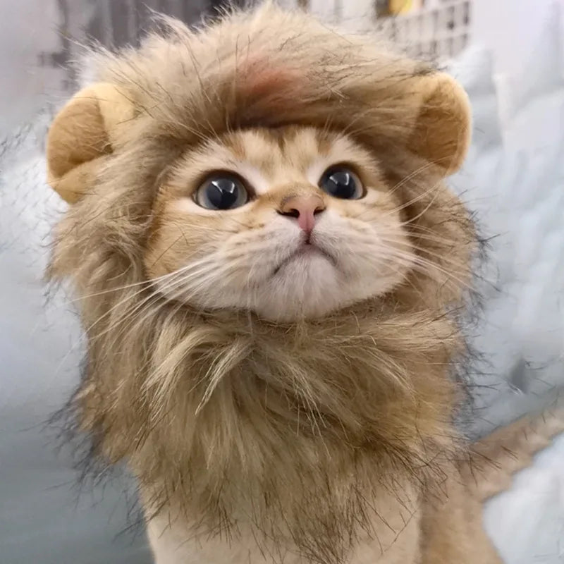 Lion Mane Wig for Dogs and Cats