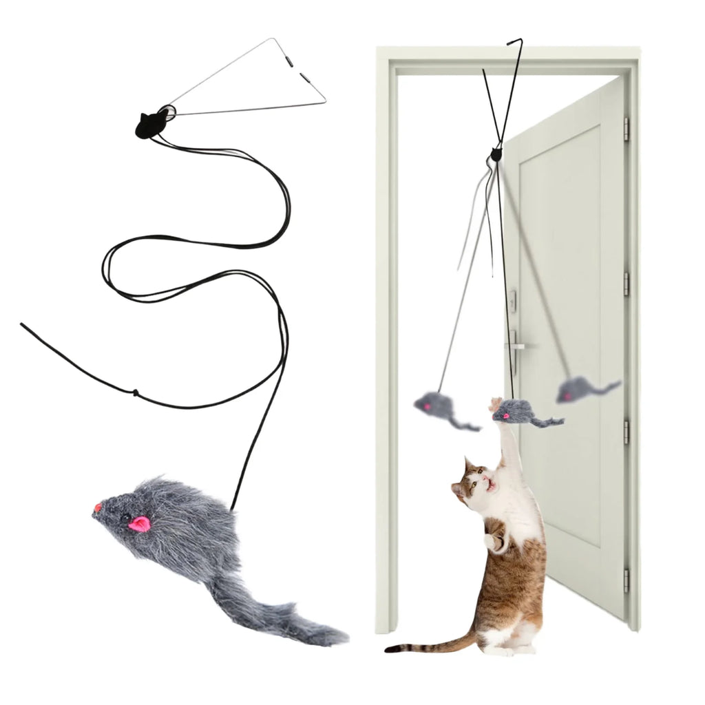 Interactive Cat Teaser Toy Adjustable Hanging Door Swing with