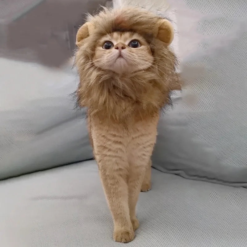 Lion Mane Wig for Dogs and Cats