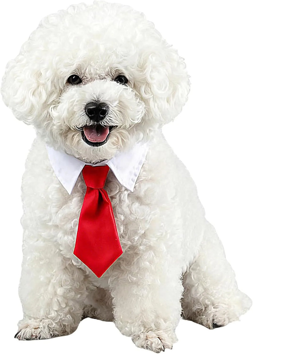 Bow Tie Pet Collar