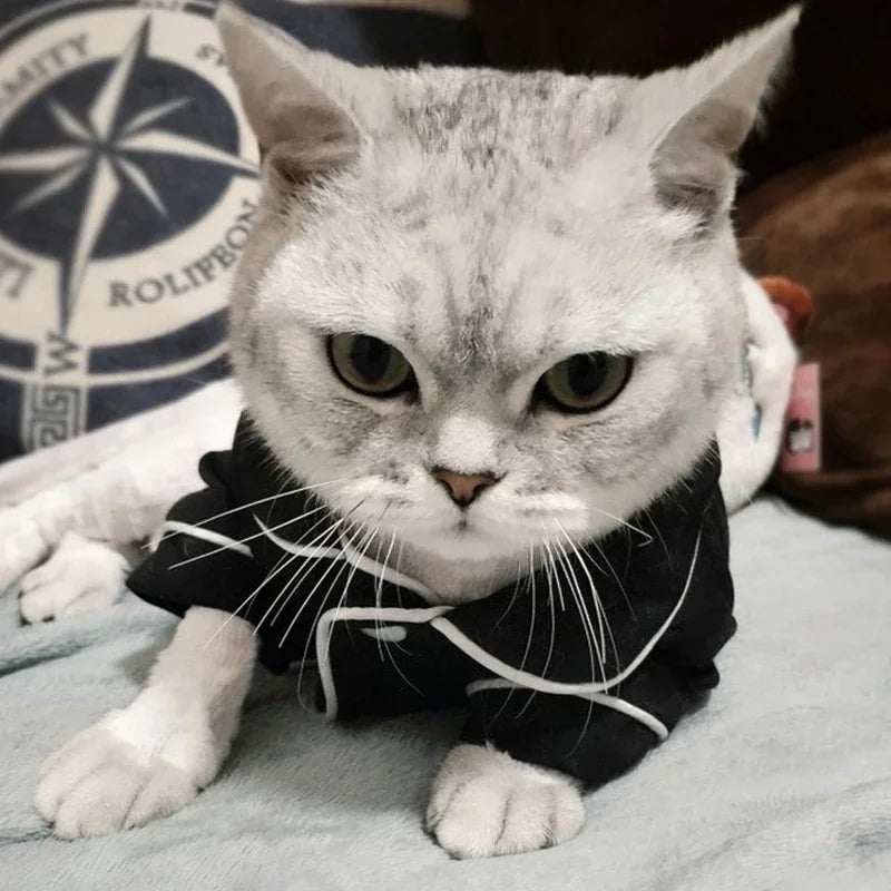 Christmas Pet Cat Costume Clothes