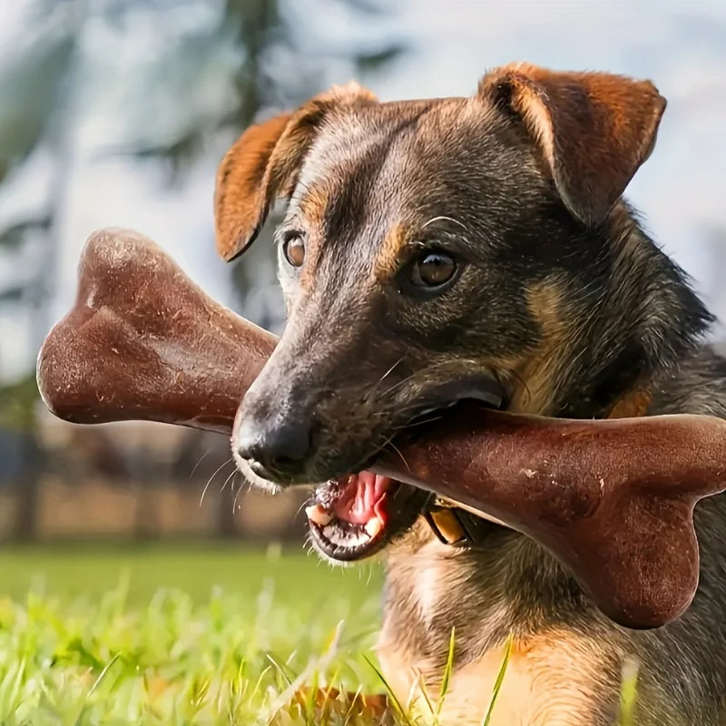 Dog Durable Beef Flavored Chew Toy