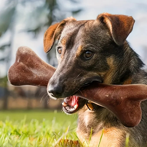 Dog Durable Beef Flavored Chew Toy
