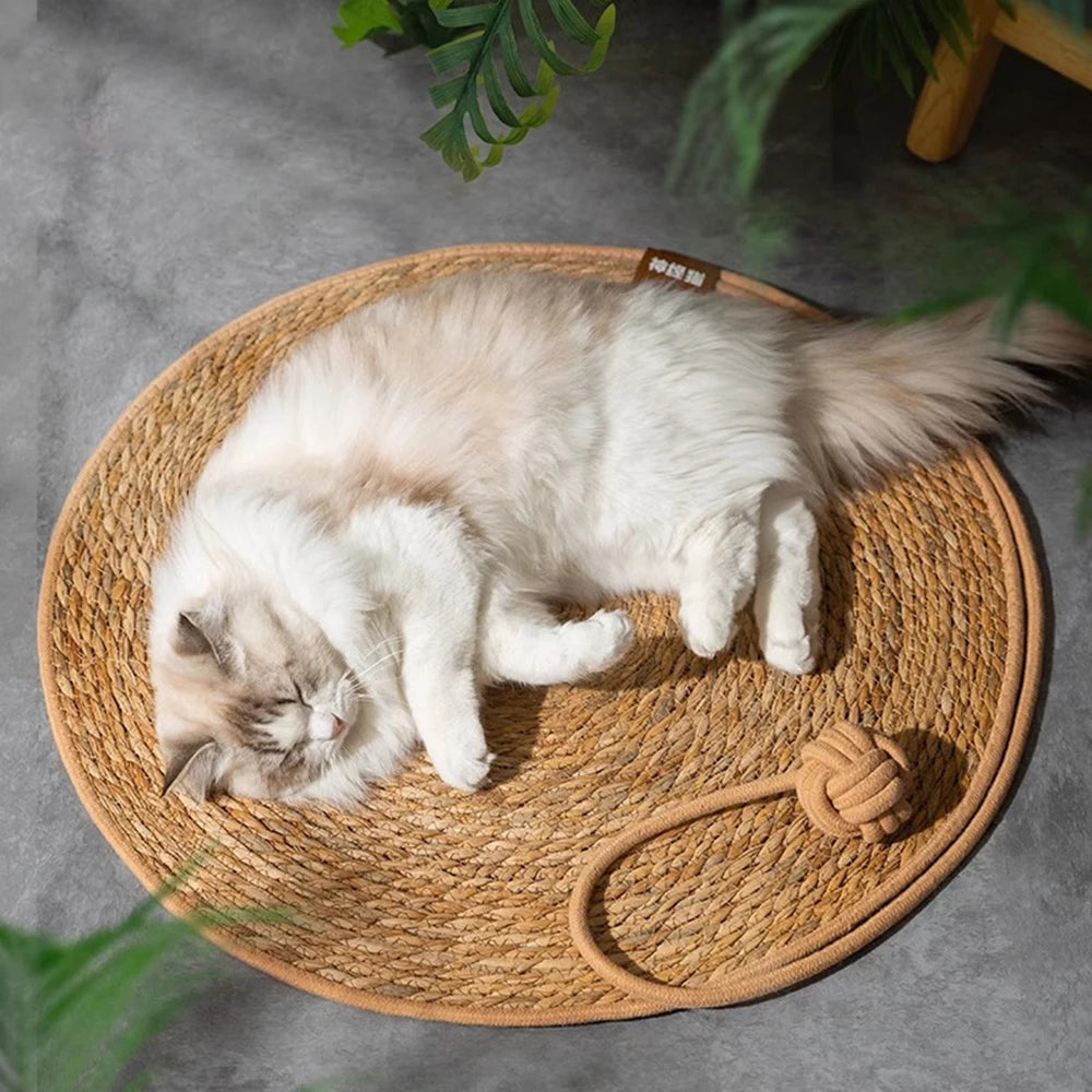 Cat Scratcher Rattan Mat Board Cat Scratch