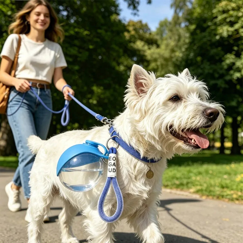 Collapsible Travel Water Bottle for Dogs