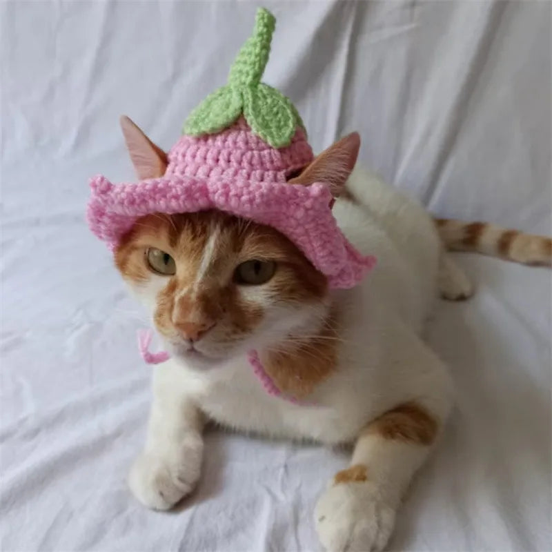 Crochet Pumpkin Hat for Cats and Dogs
