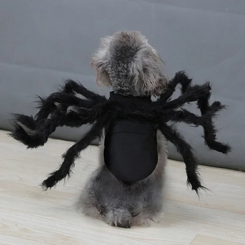 Spider Costume for Cats and Small Dogs