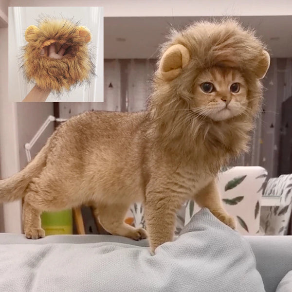 Lion Mane Wig for Dogs and Cats