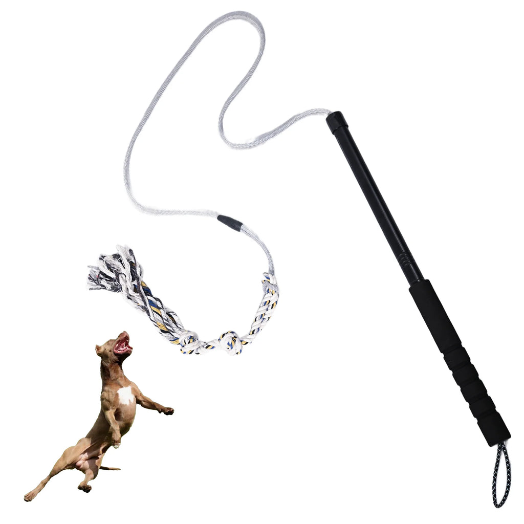 Flirt Pole for Dogs