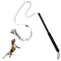 Flirt Pole for Dogs