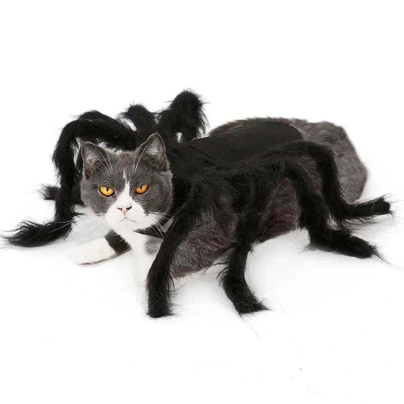 Spider Costume for Cats and Small Dogs