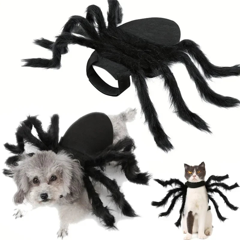 Spider Costume for Cats and Small Dogs