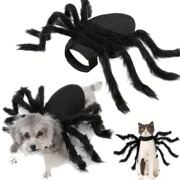 Spider Costume for Cats and Small Dogs
