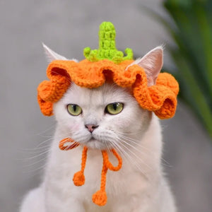 Crochet Pumpkin Hat for Cats and Dogs