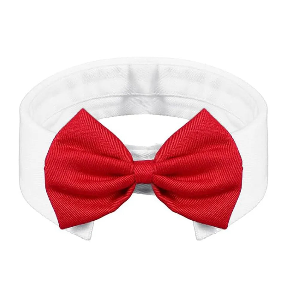Bow Tie Pet Collar