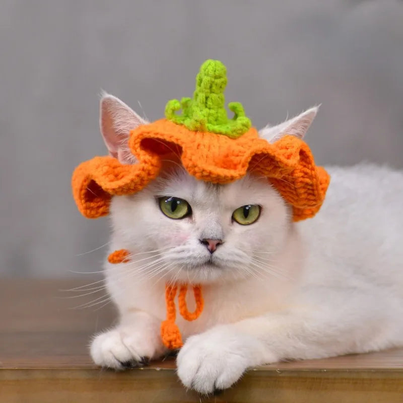 Crochet Pumpkin Hat for Cats and Dogs