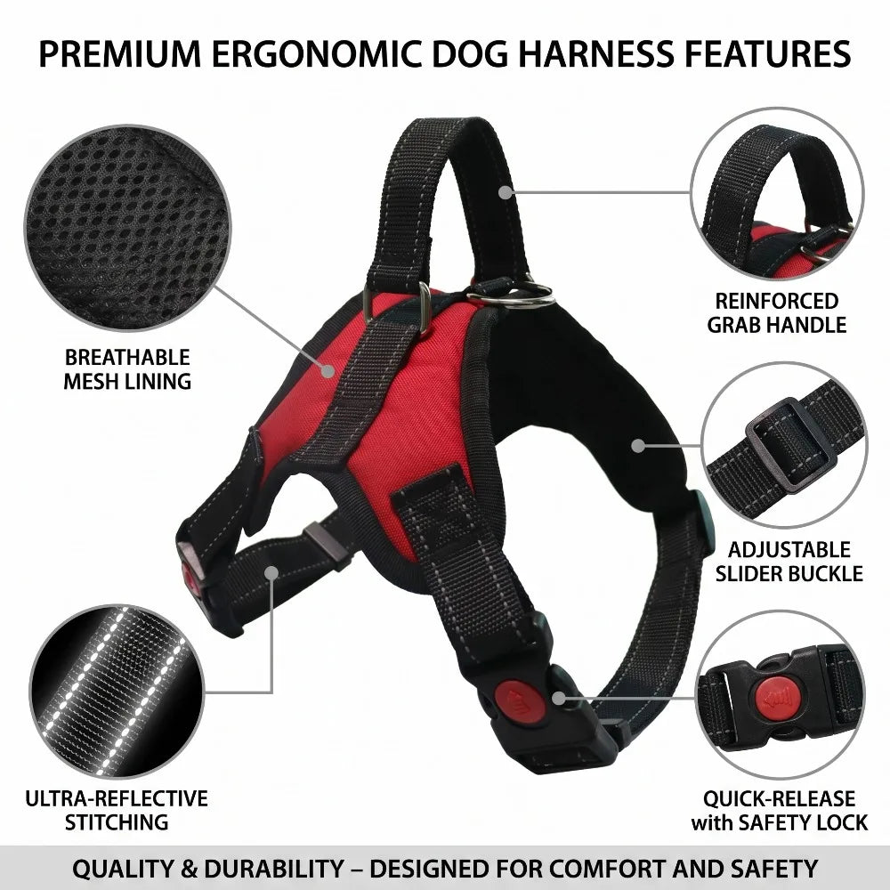 No-Pull Reflective Dog Harness