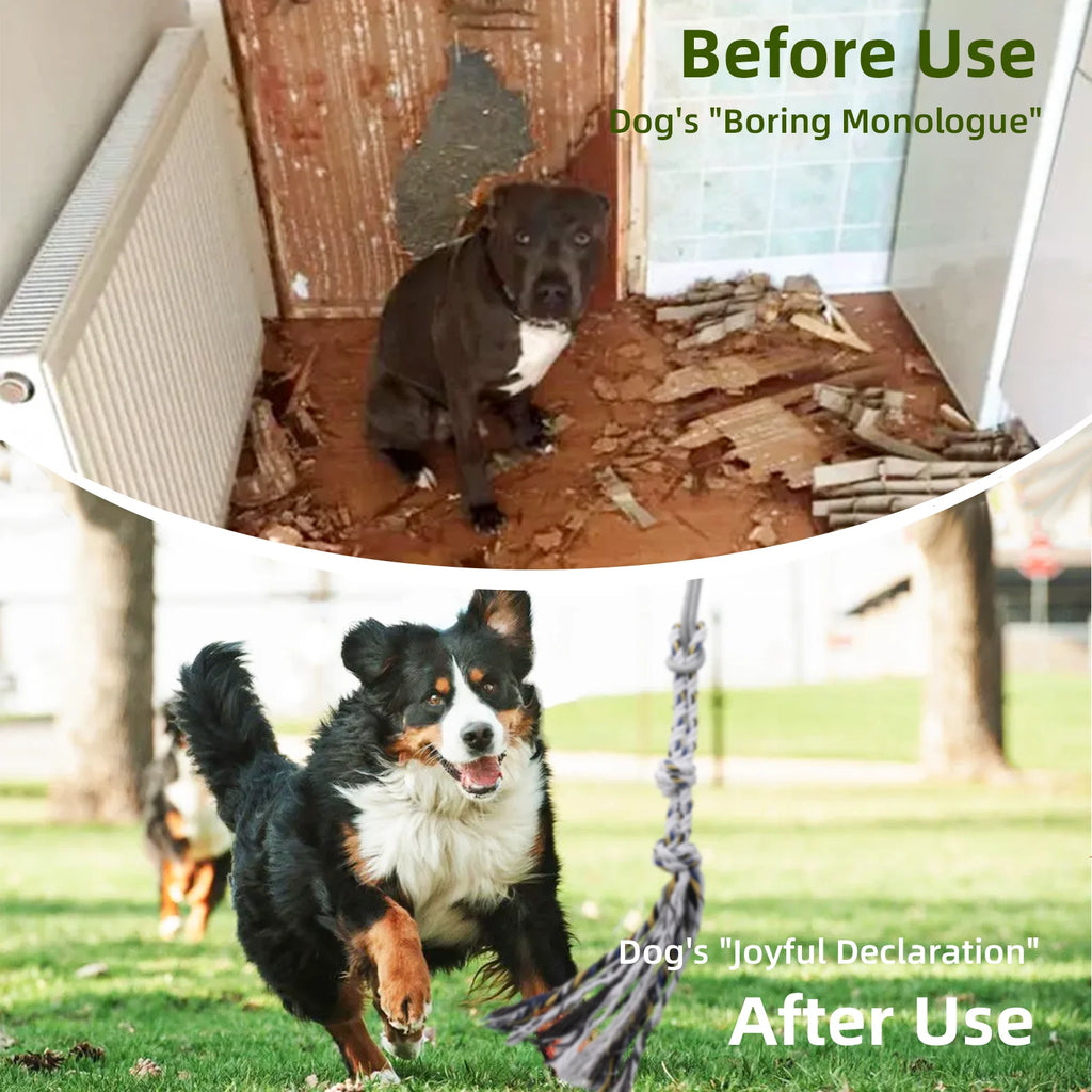 Flirt Pole for Dogs