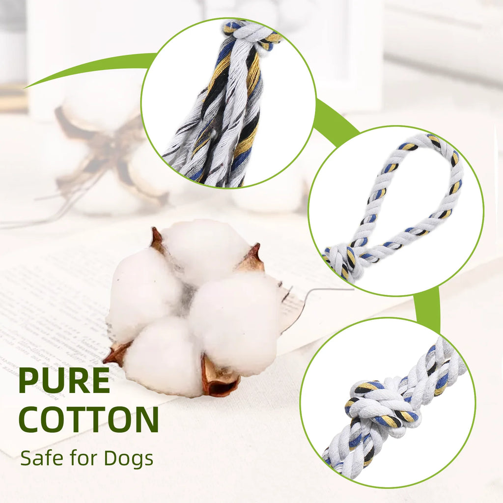 Flirt Pole for Dogs