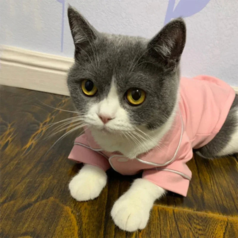 Christmas Pet Cat Costume Clothes