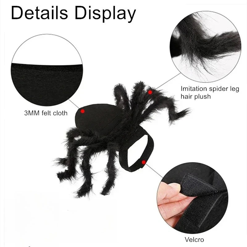 Spider Costume for Cats and Small Dogs