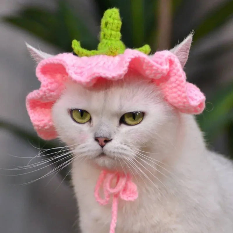 Crochet Pumpkin Hat for Cats and Dogs