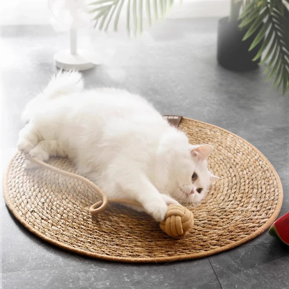 Cat Scratcher Rattan Mat Board Cat Scratch