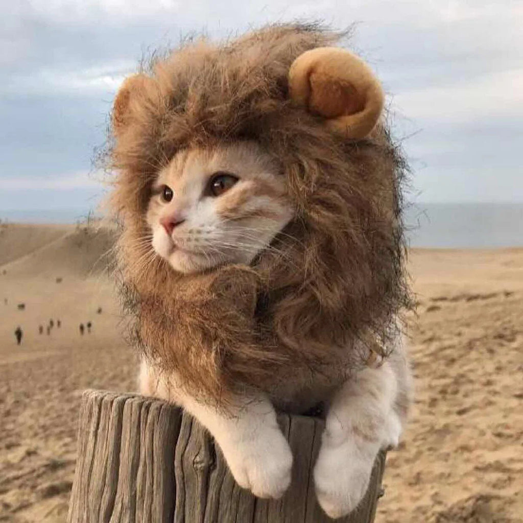 Lion Mane Wig for Dogs and Cats