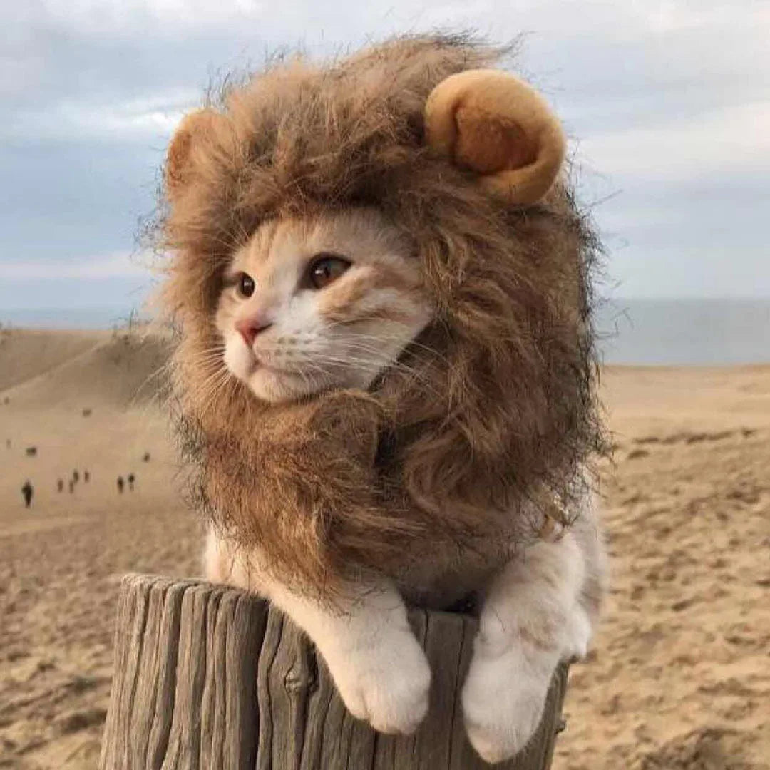 Lion Mane Wig for Dogs and Cats