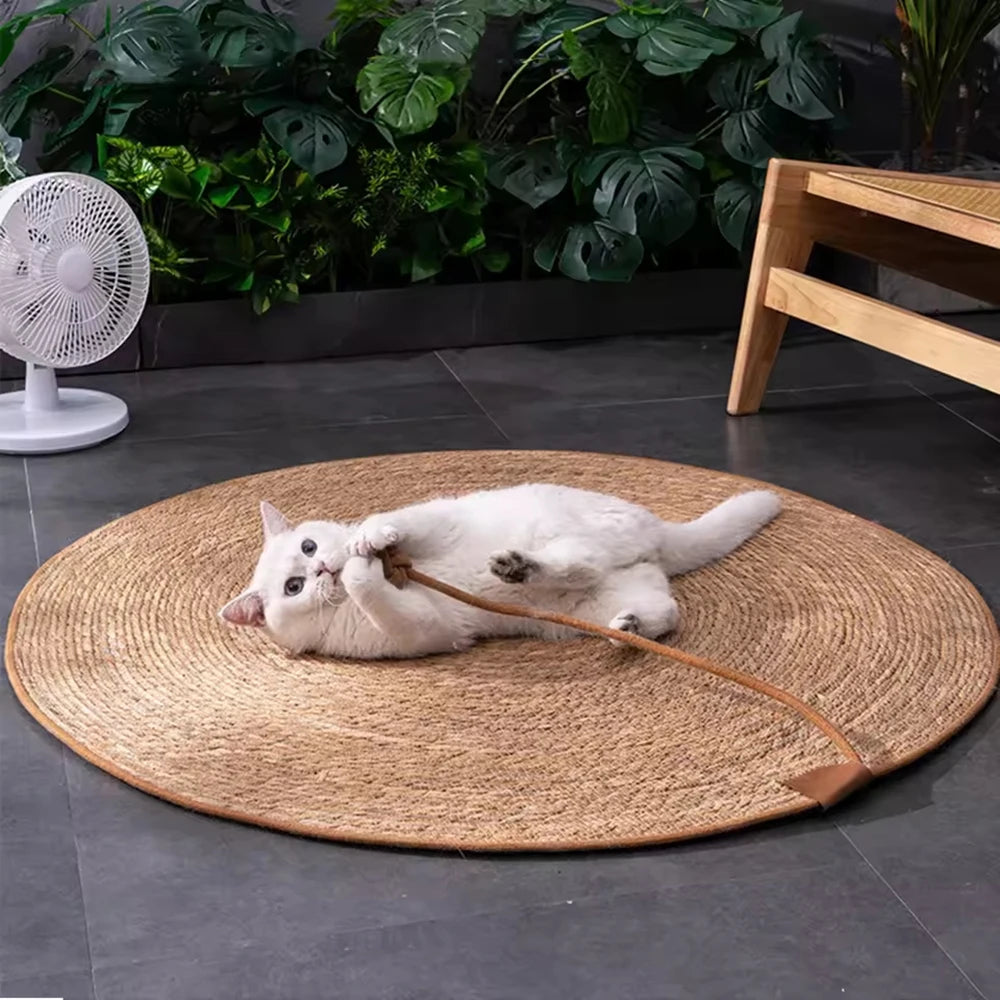Cat Scratcher Rattan Mat Board Cat Scratch