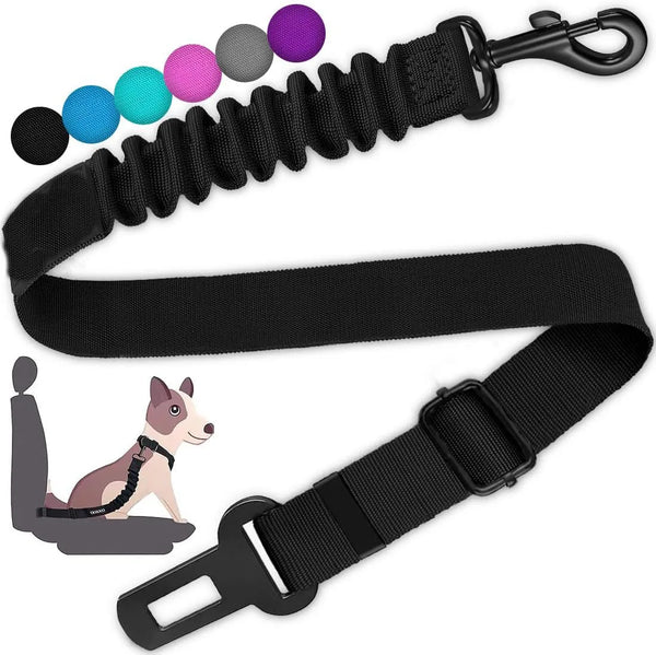 Dog Seat Belt